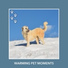 Dog Chill Out Music