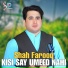 Shah Farooq