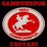 Recep Alemdar