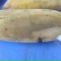 Vinahangs