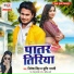 Nitesh Singh, Shrishti Bharti