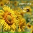 Corviform