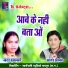 Aagar Anand, Lata Ghritlahare