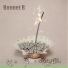 Bonnet B