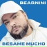 bearnini
