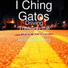 I Ching Gatos