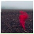 Will Varley