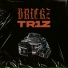 TR1Z