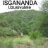 ISGANANDA