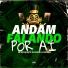 Mc WS Da Leste, DJ CHADIN DO C, dj gs sheik