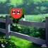 Lofi Fruits Music, Snuggles, Fets