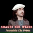 Shandi Gul Wazir