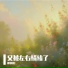 柳如烟