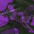 unknown.beat, NZVSTN