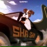 Shapat