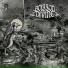 Boisson Divine