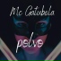 Mc Gatubela toz