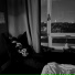 Night404
