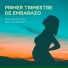 Embarazo Feliz