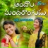 Janulyri, Naveen Sambari, Pothu Satyam