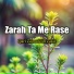 Qari Zainuddin Zakir