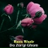 Raza Wazir