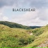 Blackshear