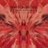 band of skulls [http: musvkontakte.ru]