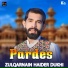 Zulqarnain Haider Dukhi