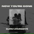 Guru LeGroove