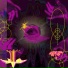 MAJORA