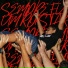 SANY oficial