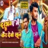 Pappu Pardesi, Bablu Bawal