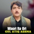 Gul Atiq Ashna