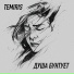 TemiRiS