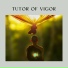 World Music For The New Age