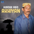 Hubdar Abid