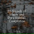 Rain Recorders, Childrens Music, Winds and Oceans