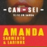 Amanda Sarmento & LARINHX