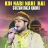 Sultan Raza Qadri