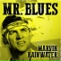 Marvin Rainwater