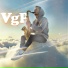 VgP