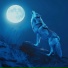 Wolf Sounds