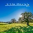 Jerome Chauvel