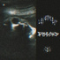 Leverneum