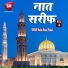 Hajrat Hunar Plamwi