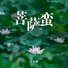张雅淇