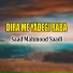 Saad Mahmood Saadi