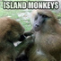 Baboon Bros