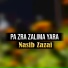 Nasib Zazai